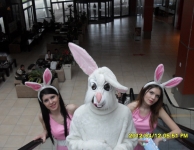 <SAMSUNG DIGITAL CAMERA>