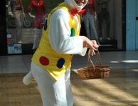 644506_10152715884175123_1536259025_n